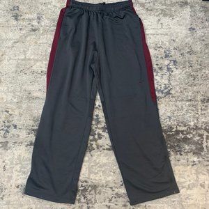 Nike Men's Pants Dark Grey with Burgundy Stripe XL